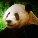 暂无图片