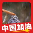 暂无图片