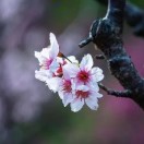 暂无图片