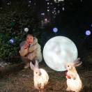 暂无图片