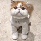 暂无图片