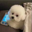 暂无图片
