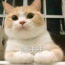 暂无图片