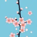 暂无图片