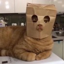 暂无图片