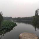 暂无图片