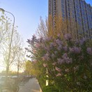 暂无图片