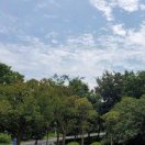 暂无图片
