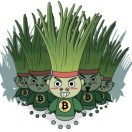 暂无图片