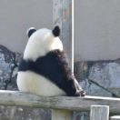 暂无图片