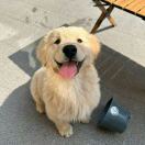 暂无图片