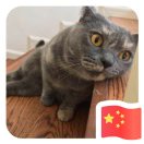 暂无图片