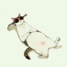 暂无图片