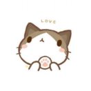 暂无图片