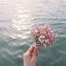 暂无图片