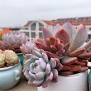 暂无图片