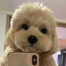 暂无图片