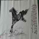 暂无图片