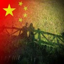 暂无图片