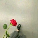 暂无图片