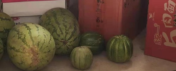 暂无图片