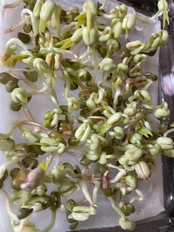 暂无图片