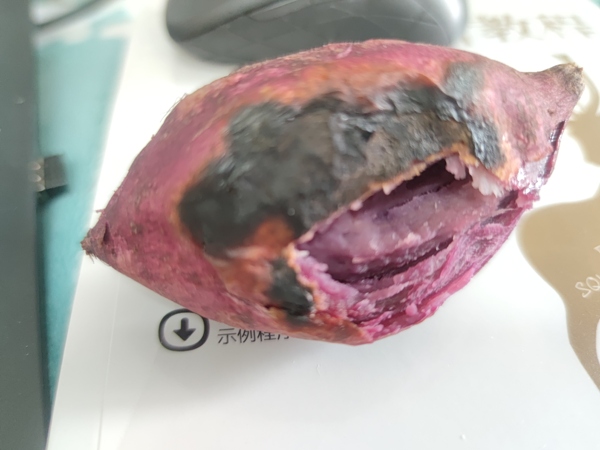 暂无图片