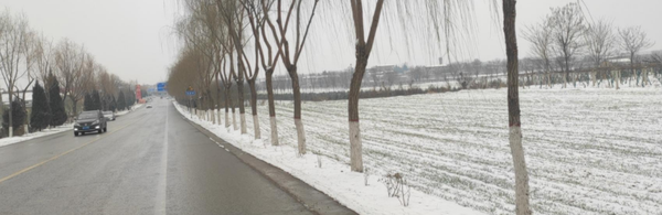 暂无图片