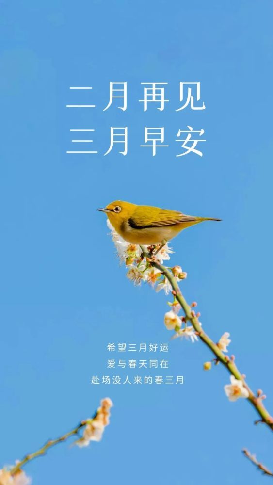 暂无图片