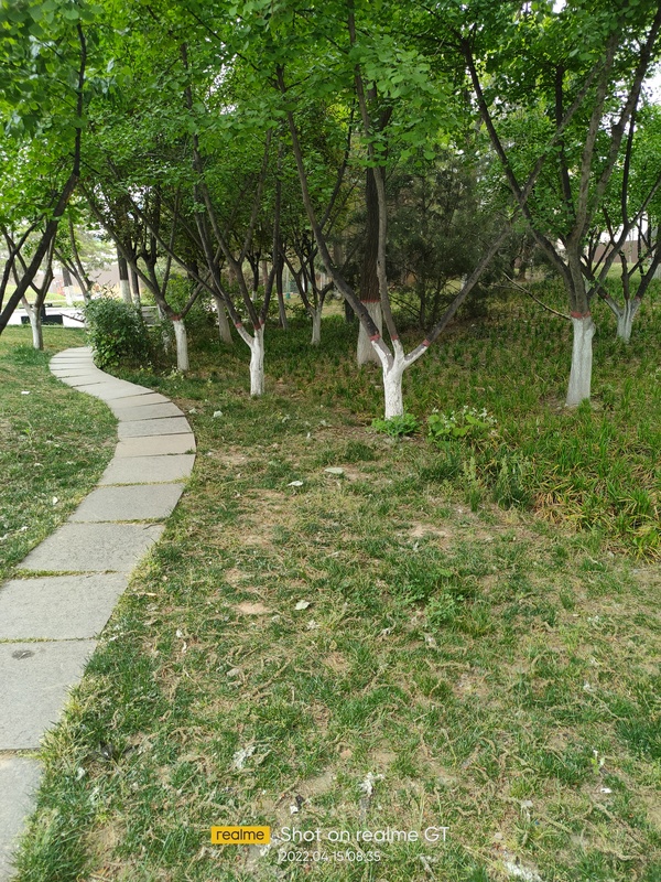 暂无图片