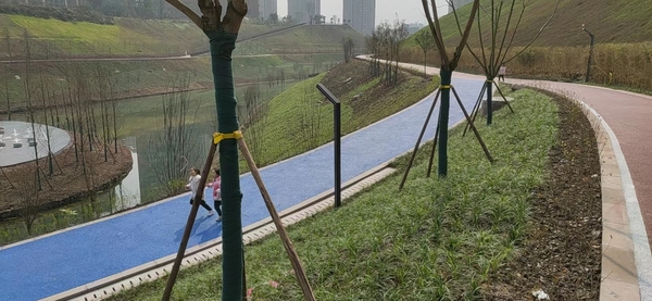 暂无图片