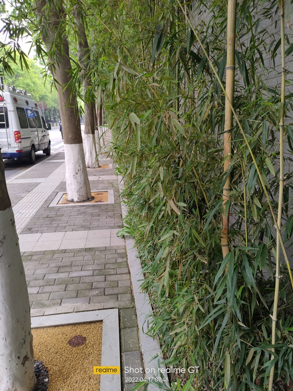 暂无图片