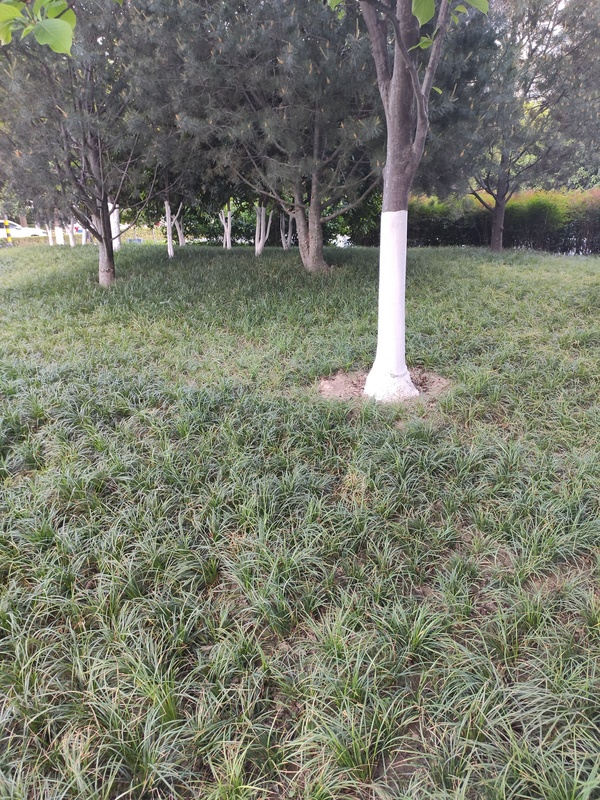 暂无图片