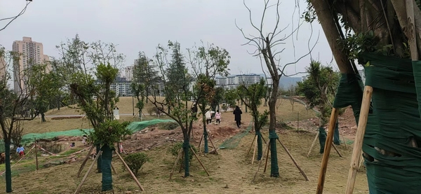 暂无图片