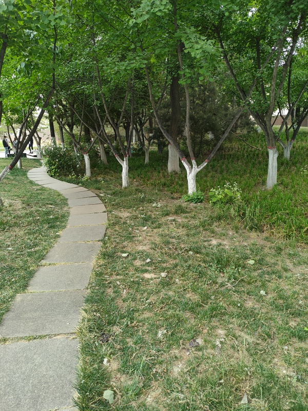 暂无图片