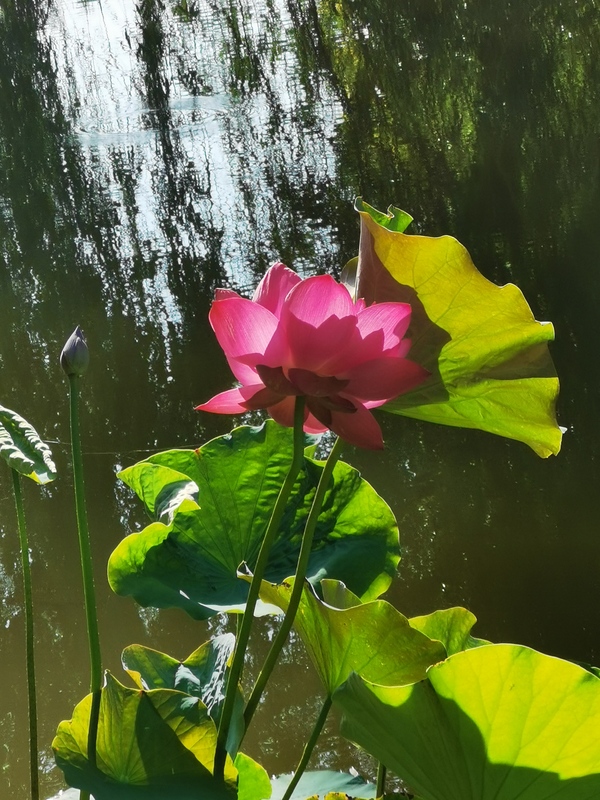 暂无图片