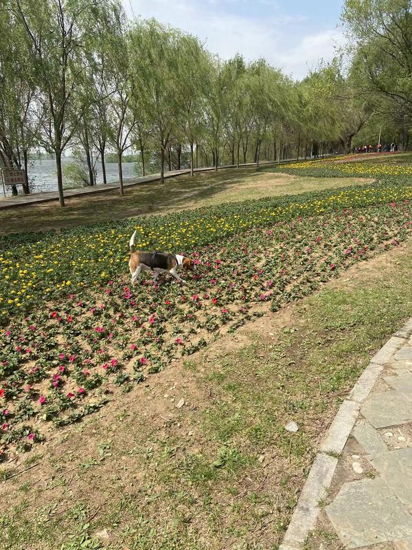暂无图片