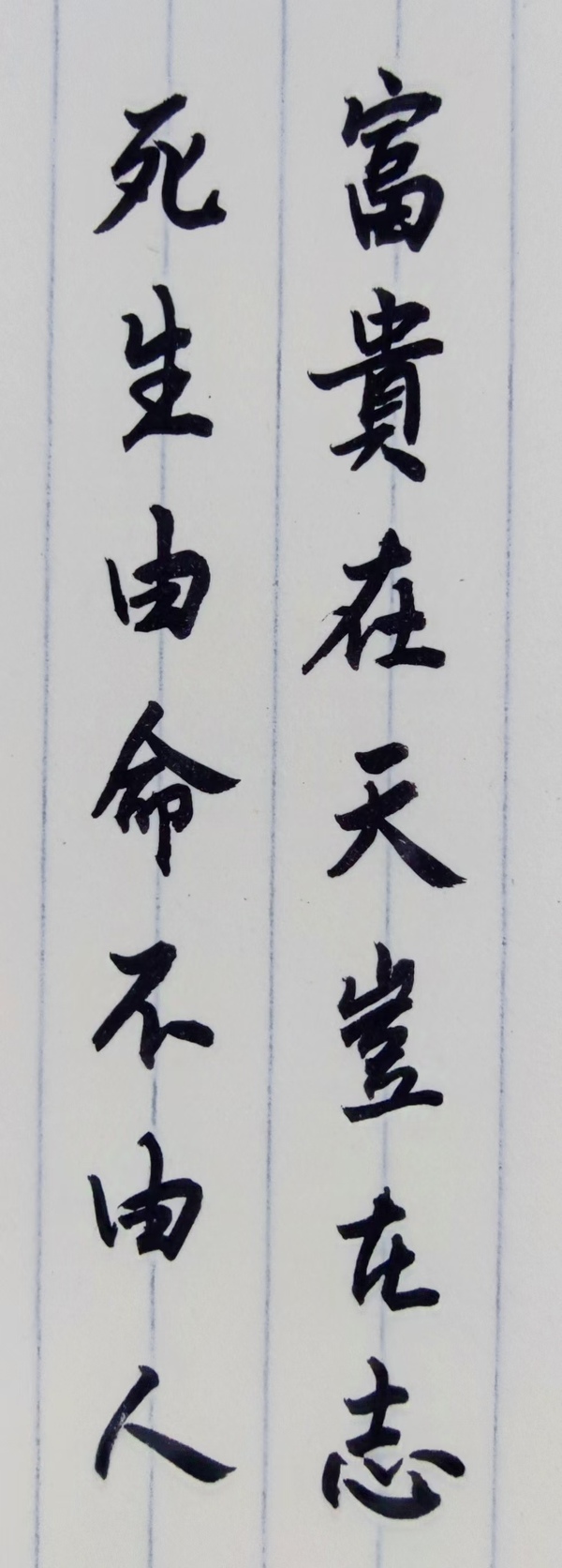 暂无图片