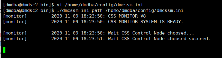 dmcssm启动成功