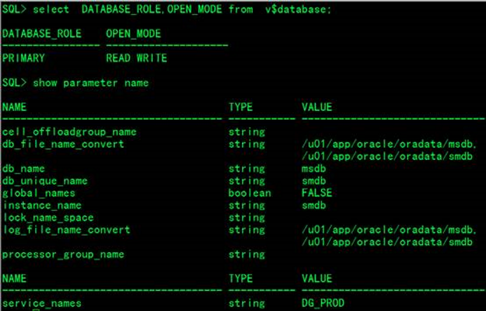 fast start failover auto reinstate