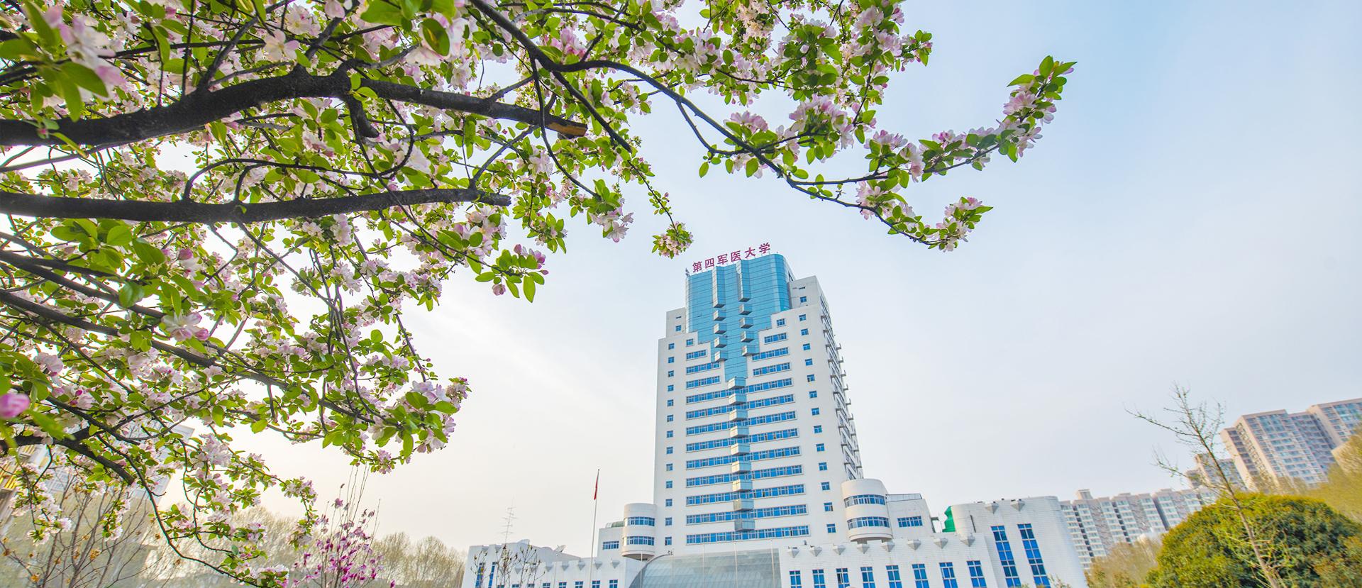 第四军医大学68686868年过四轮,始由天命,四时往复,三言两语