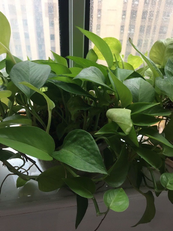 暂无图片