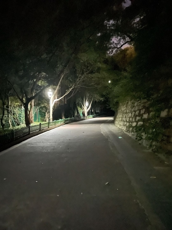 暂无图片