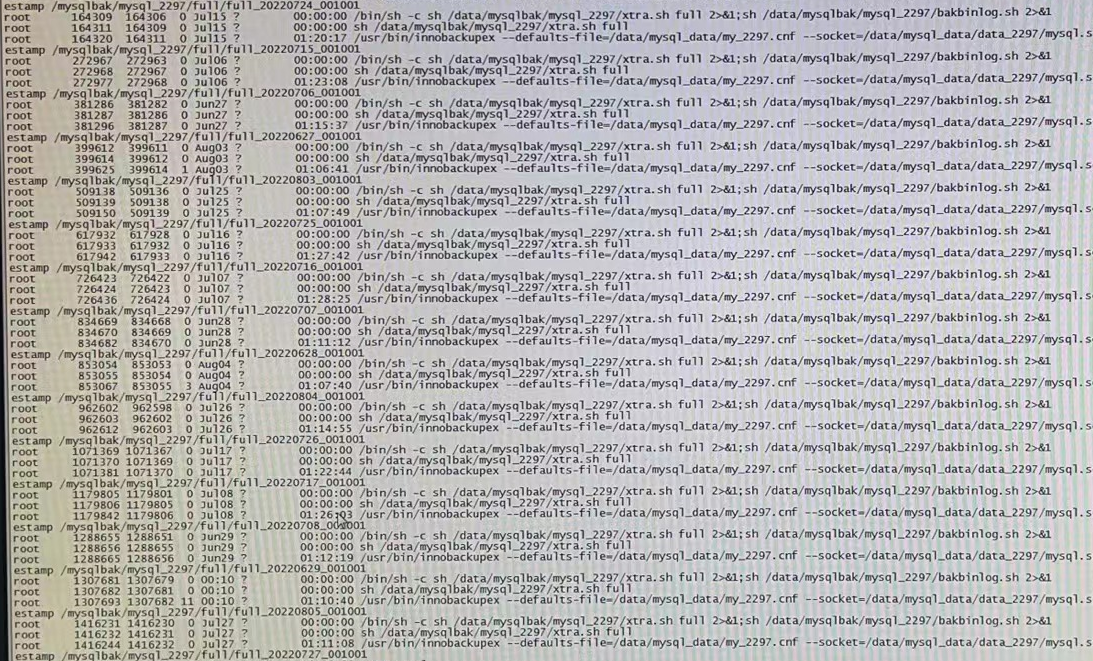 Mysql slave 
