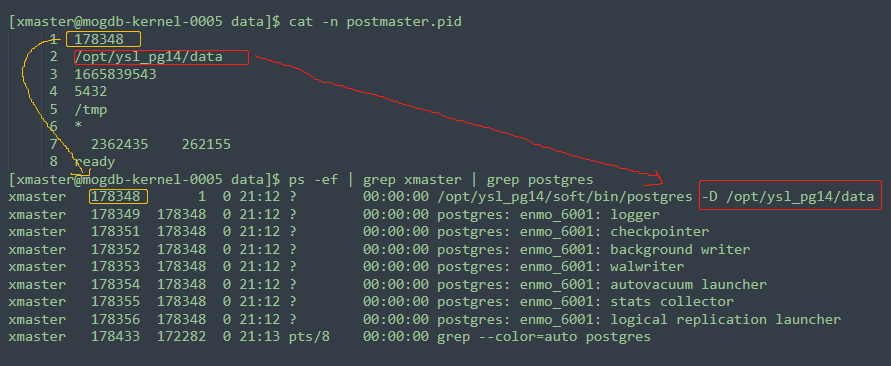 Postmaster pid где находится linux