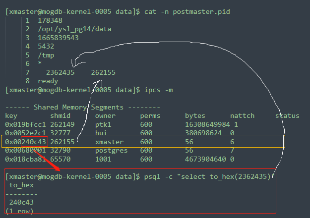 Postmaster pid где находится linux