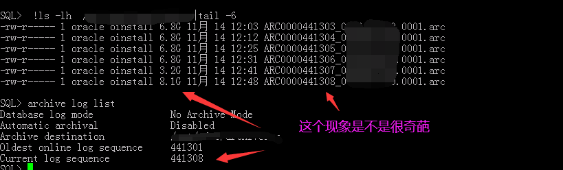 奇葩归档.png