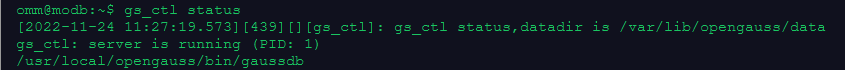 openGauss0002.png