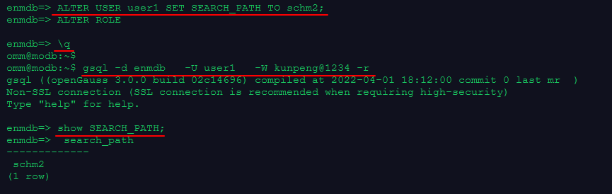 openGauss0125.png