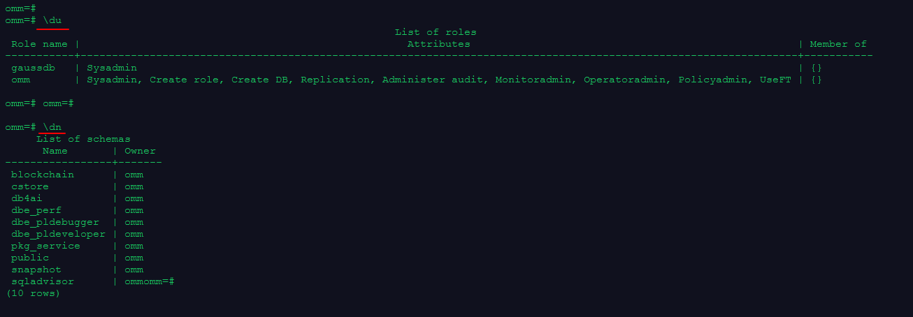 openGauss0119.png